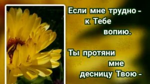 187 Бог мой, храни меня (-)