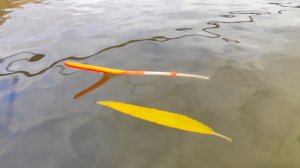 ЖОР на ПОПЛАВОК в ледяной воде!!!!  Рыбалка осенью на реке