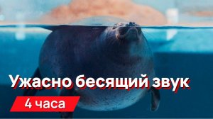Звуки для соседей - ужасно бесящий надоедливый и трудноописуемый звук (для гурманов)