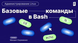 Базовые команды Bash