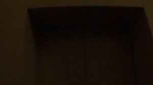 Электрический Лифт (Щлз Ecomaks 2018 Г.в V=1m/s 630/kg 8.чел Г. Москва Россия