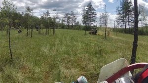 по болотам малуксы на эндуриках