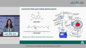 Полимерные наноформы диоксадэта: от разработки к тестированию| #WNOF2024