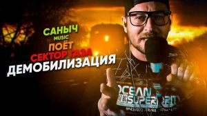 Саныч Music поёт: Сектор Газа - Демобилизация