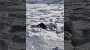 СовХакасское кольцо на джипах