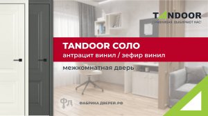 Межкомнатная дверь Tandoor Соло в покрытии эмалекс. Видеообзор