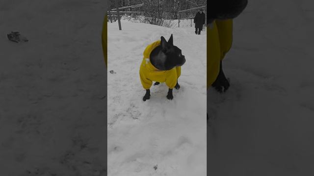Опасность 😱😆
