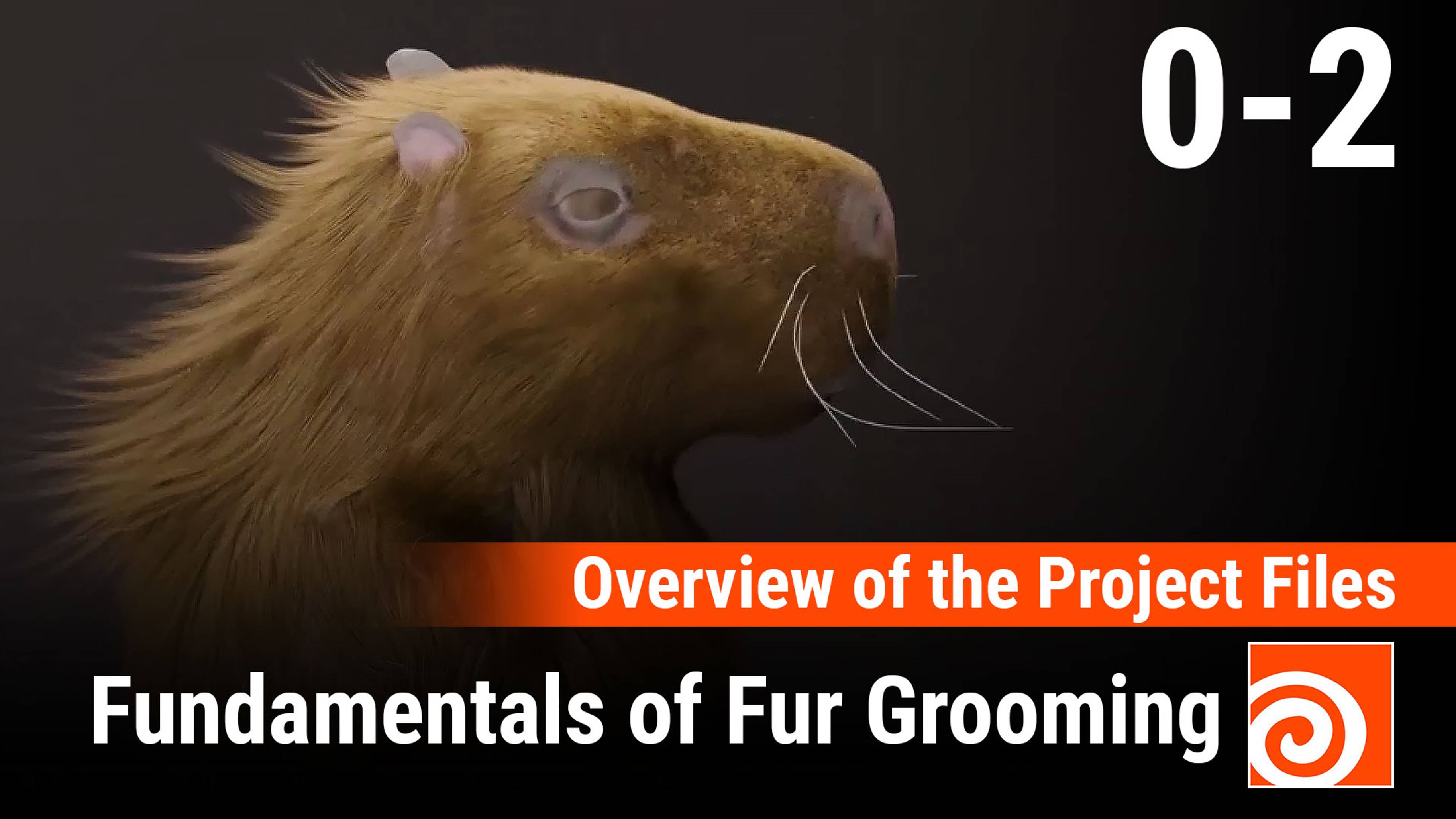 Fundamentals of Fur Grooming in Houdini 
2 - Overview of the Project Files