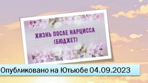 Жизнь после нарцисса (бюджет) (04.09.2023)