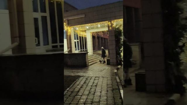 Волшебное волшебство новогоднее (2025)