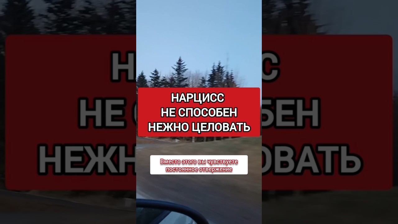 У тебя нет и НИКОГДА не будет эмоциональной связи с нарциссом #нарциссизм #нрл #отношенияснарциссом смотреть онлайн