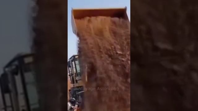 С такими коллегами работать страшно, но весело (наверное) 😄