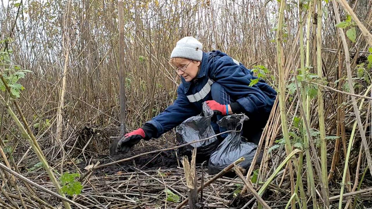 2022 г. К чему может привести ходьба по заброшенным участкам. Лежачая работа и др. сельские новости