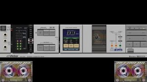 D.  White  -   Walking ( ZYX Extended Version)