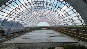 Питомник растений