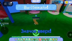 побег питомца