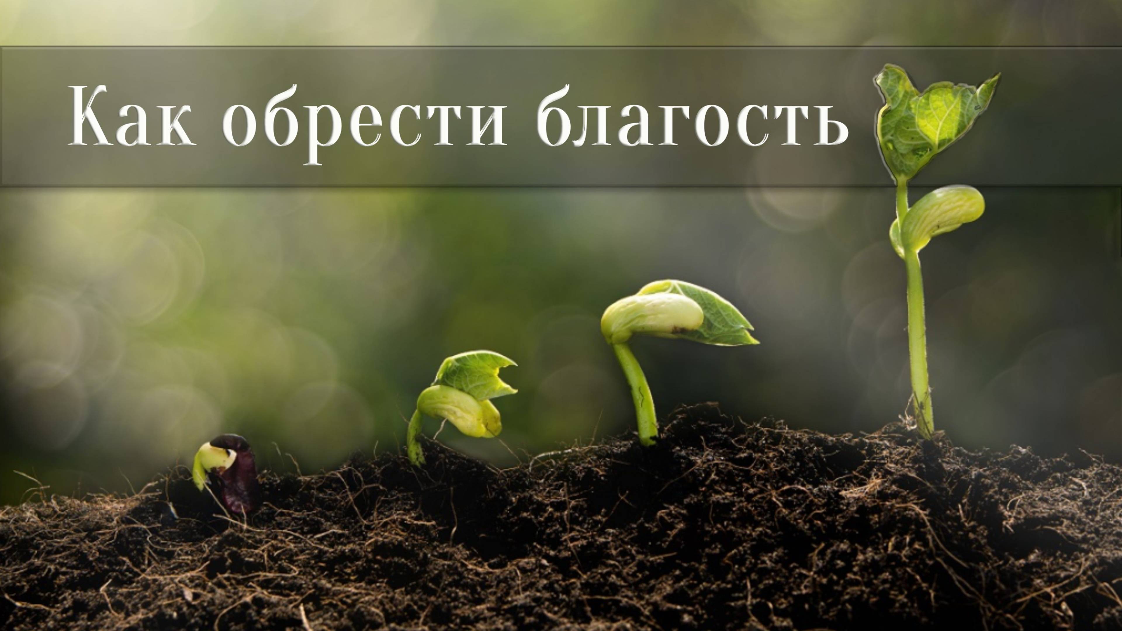 Как обрести благость
