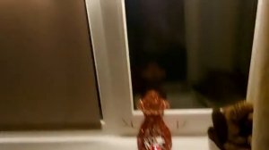 ВЛОГ: Он переехал / Обидно / Одни проблемы