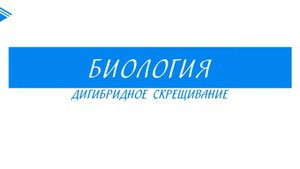 10 класс - Биология - Дигибридное скрещивание