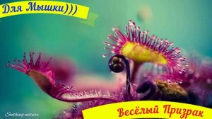 Закрути любовь сборник 02