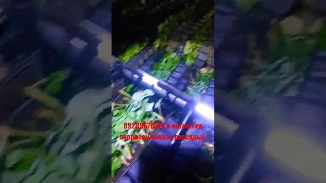 30 апреля 2023 г. смотреть онлайн