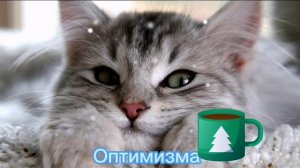 Доброе утро