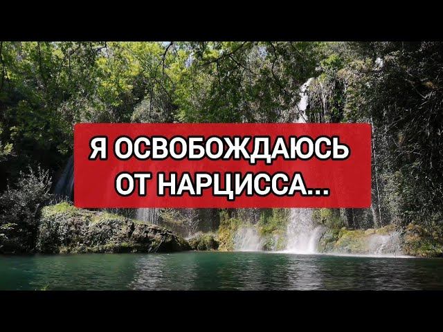Аффирмации | Я Освобождаюсь От Всех Негативных Убеждений, Навязанных Мне Нарциссом #нарциссизм #нрл смотреть онлайн