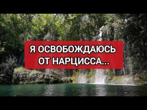 Аффирмации | Я Освобождаюсь От Всех Негативных Убеждений, Навязанных Мне Нарциссом  #нарциссизм #нрл