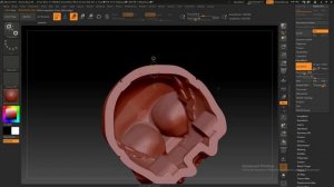 Поднутрение_,_выборка_,_скорлупа_в_ZBrush_2018