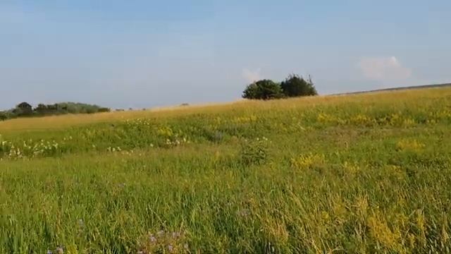 Идём пешком к церкви Покрова на Нерли. Храм XII века. Владимирская земля.