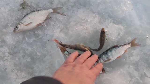 Зимняя рыбалка на озере смотреть онлайн