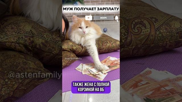 Муж получил зарплату