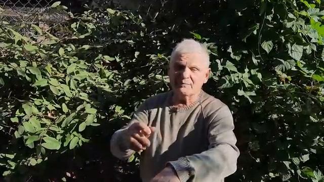 Лучшее народное средство от ожогов!