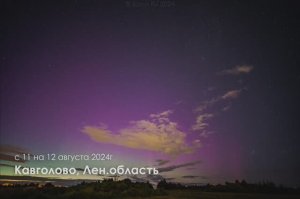Северное сияние с грозой в ночь с 11 на 12 августа 2024 (Кавголово, Ленинградская область)