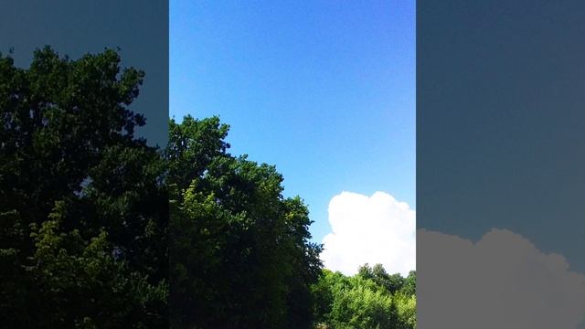 Моя улица - (частушки на мои стихи, музыка и исполнитель нейросеть).