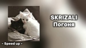 Погоня  speed up