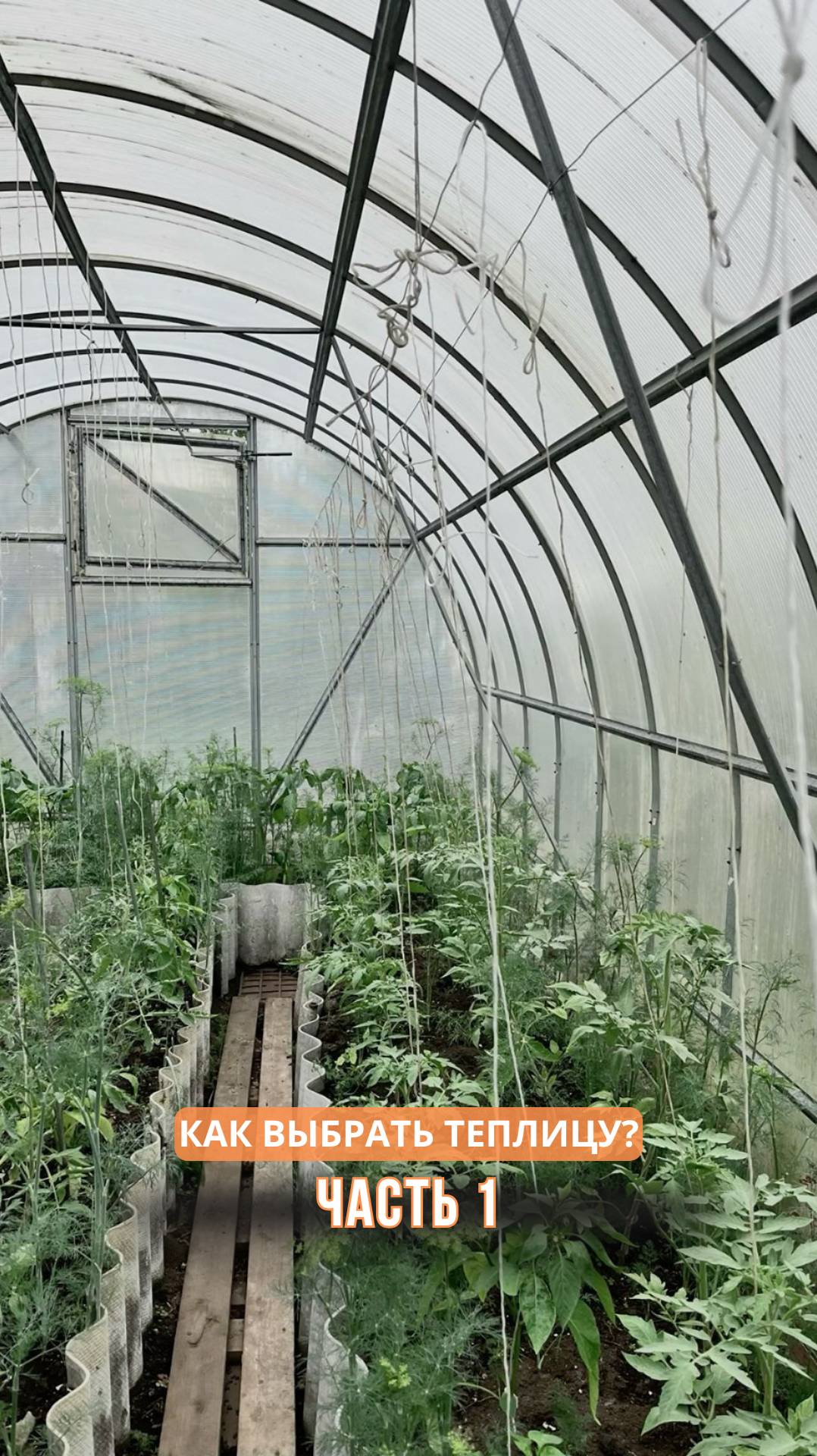 Как выбрать теплицу? часть 1 смотреть онлайн