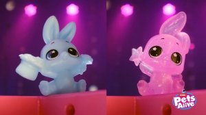 Prepare to be amazed with Magic Bunnies from Pets Alive!