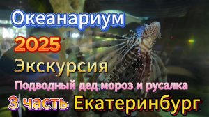 Екатеринбург. Океанариум. Экскурсия.  3 часть
