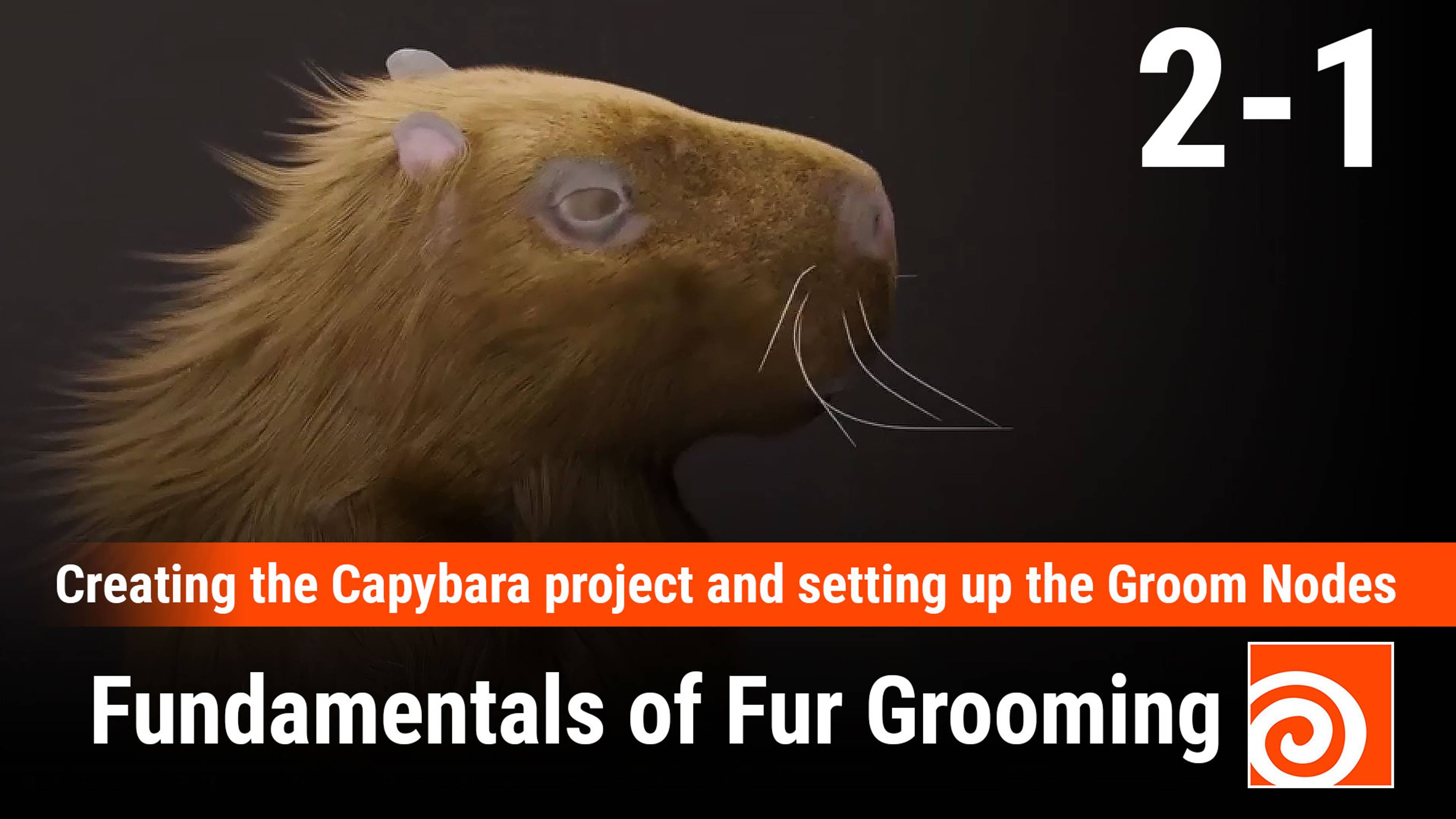 Fundamentals of Fur Grooming in Houdini
1 - Creating the Capybara project and setting up the Groom