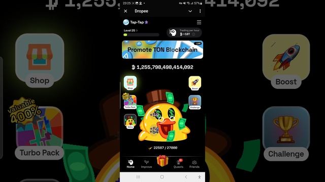 Dropee Daily Combo. 16-17 января. Dropee AirDrop Game