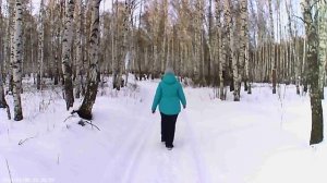 Наш пеший мини поход в зимний лес