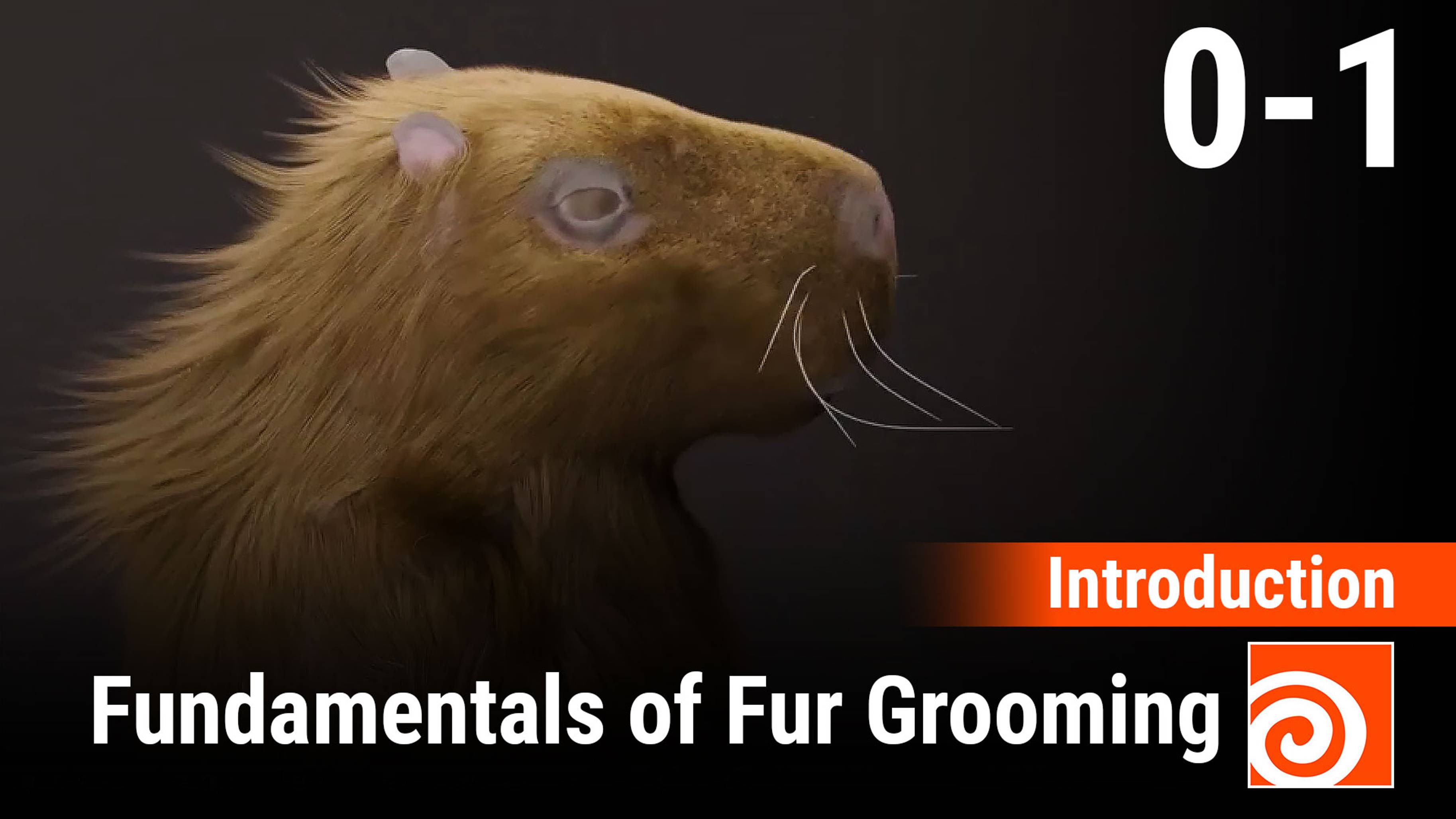 Fundamentals of Fur Grooming in Houdini 
1 - Introduction