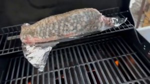 Сазан на гриле