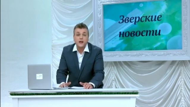 СОБАКА пролезла в щёлку. Зверские новости Xayc.TV №9