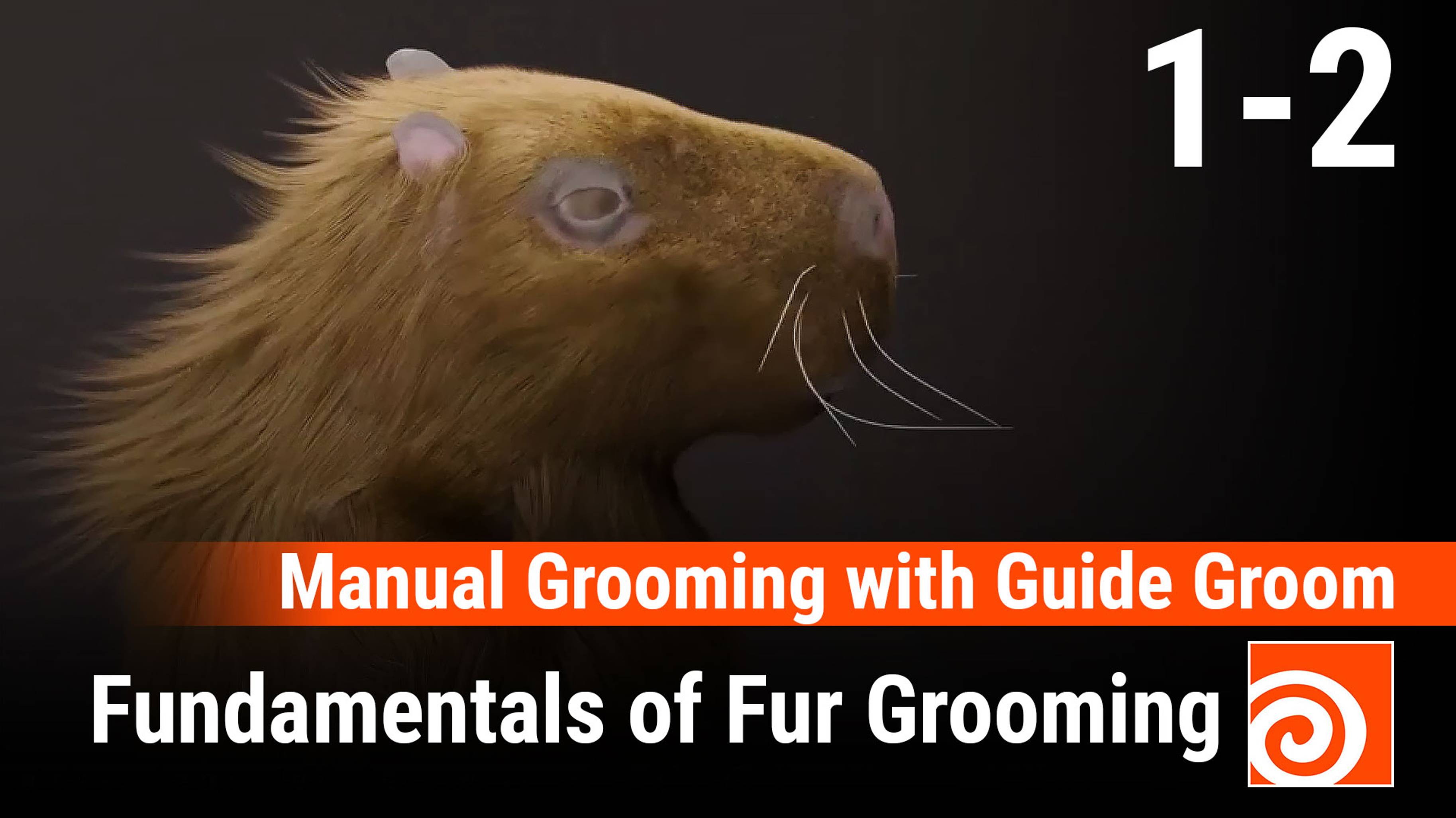 Fundamentals of Fur Grooming in Houdini 
2 - Manual Grooming with Guide Groom