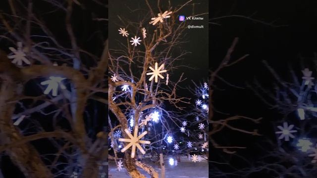 Рождество в Дивееве