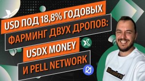 USD под 18,8% годовых + фарминг двух дропов: USDX Money и  @PellNetwork  #airdrop #defi #стейкинг