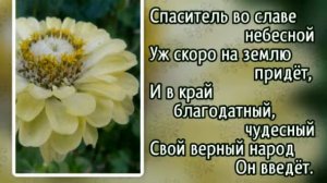 222 Я знаю святую обитель (-)