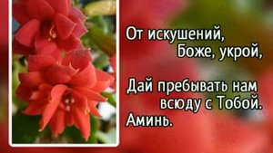 335 О наш Господь, мы молим Тебя (-)